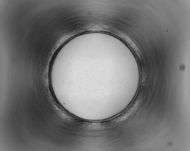 X0000102820986200809151011