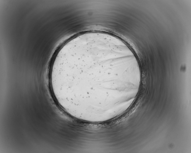 X0000102820987200809151011