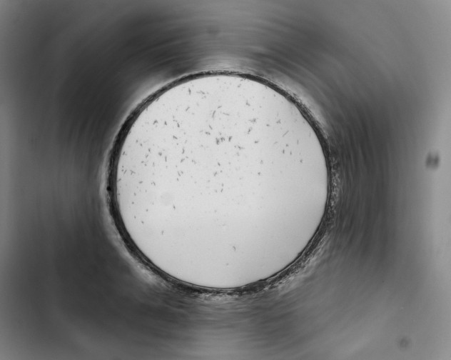 X0000102820991200809151011