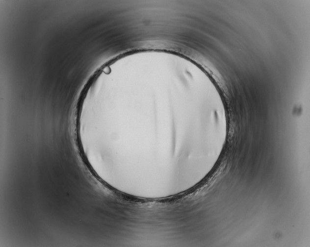 X0000102820992200809151011