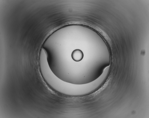 X0000102820993200809151011