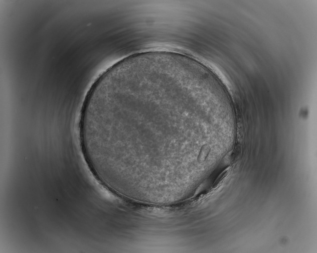 X0000102820995200809151011