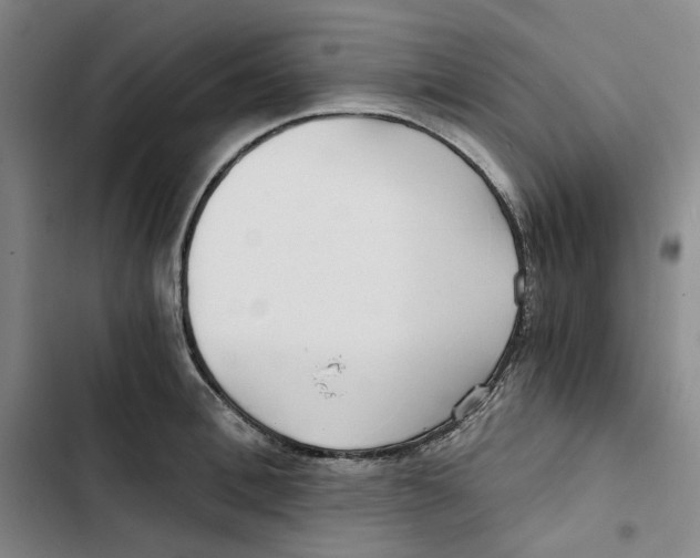 X0000102820996200809151011