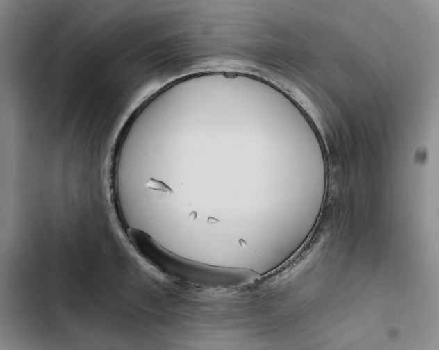X0000102820997200809151011