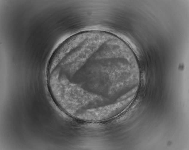 X0000102820998200809151011