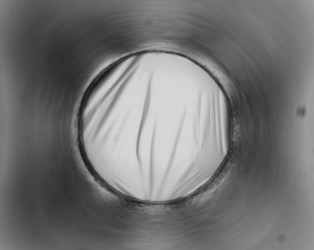 X0000102820999200809151011