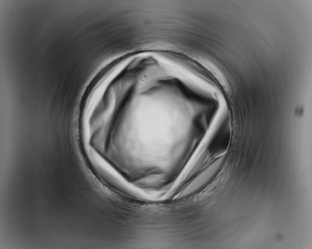 X0000102821000200809151011