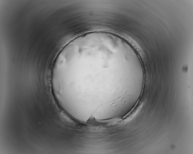 X0000102821001200809151011