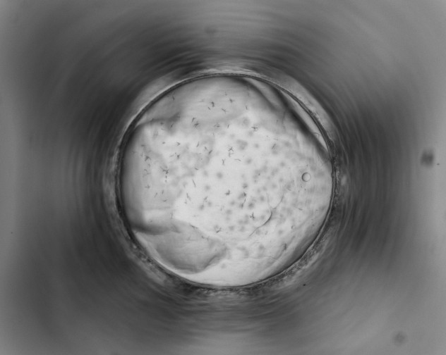 X0000102821002200809151011