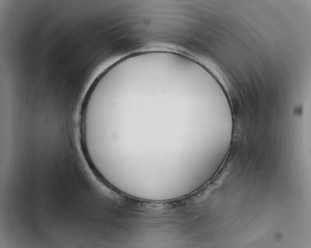 X0000102821003200809151011