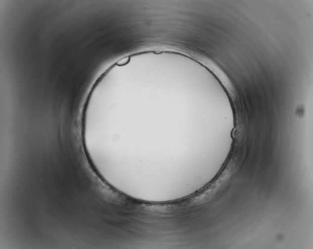 X0000102821004200809151011