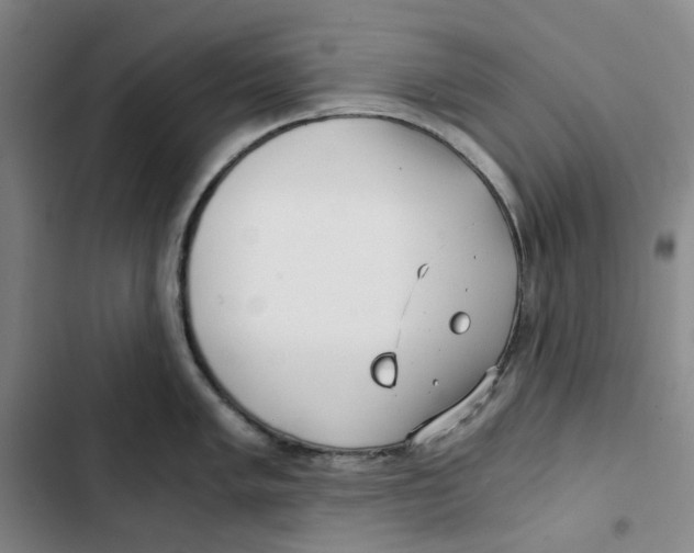X0000102821005200809151011