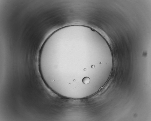 X0000102821006200809151011