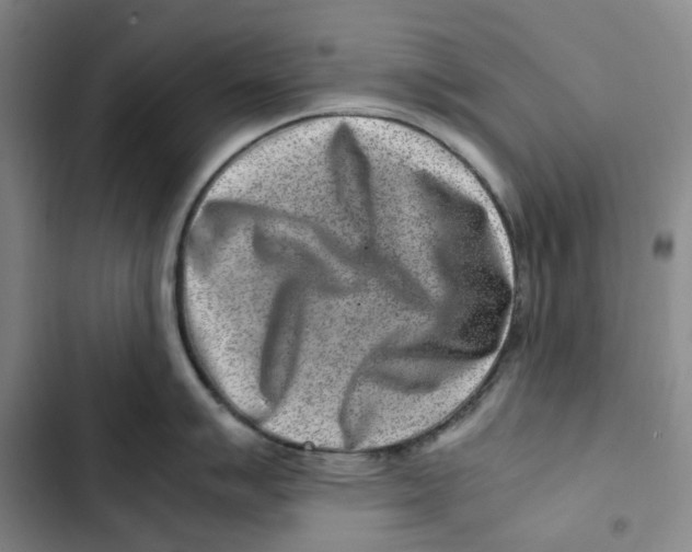 X0000102821007200809151011