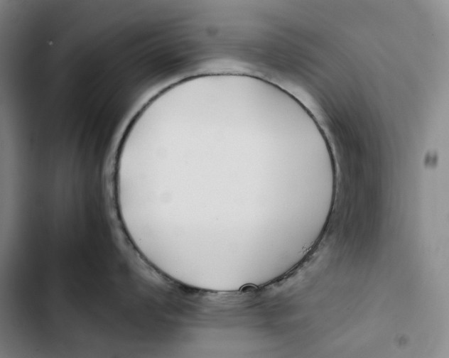 X0000102821008200809151011