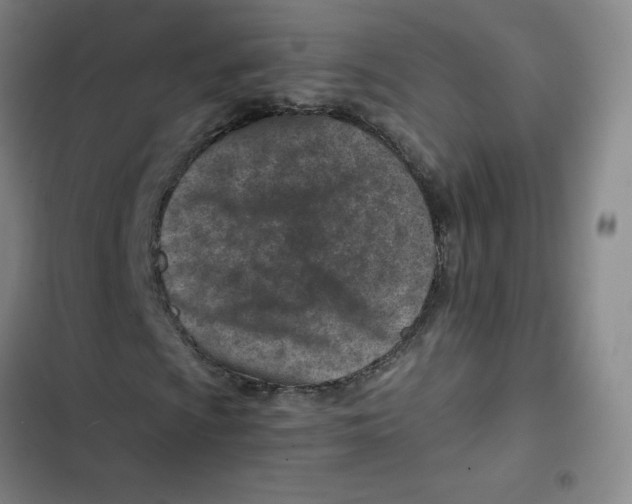 X0000102821009200809151010