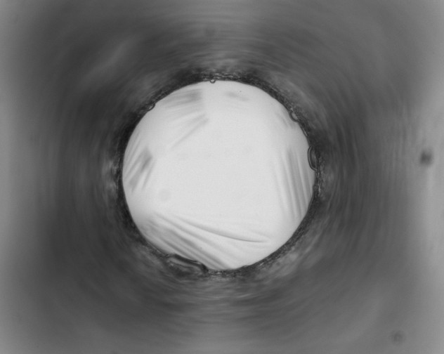 X0000102821010200809151010