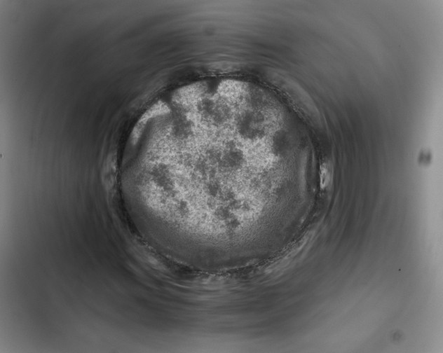 X0000102821011200809151010