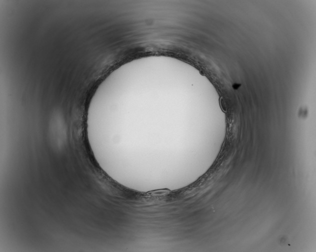 X0000102821012200809151010