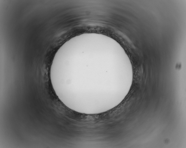 X0000102821013200809151010
