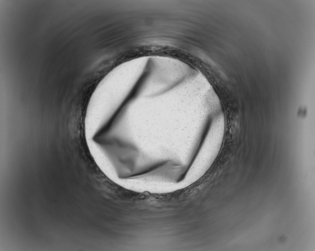 X0000102821014200809151010