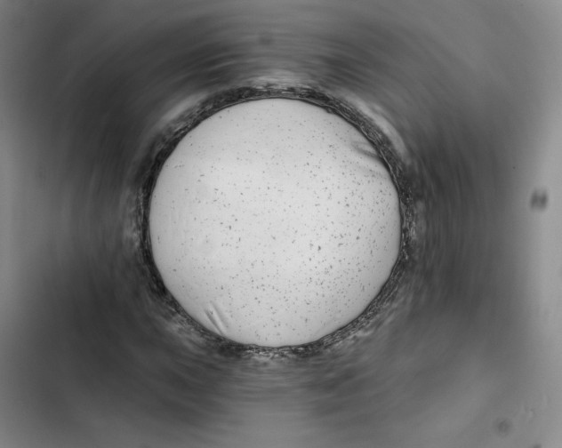 X0000102821015200809151010
