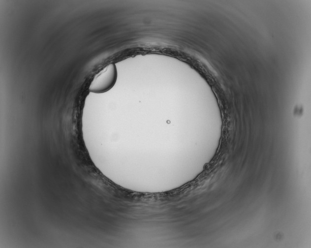 X0000102821016200809151010