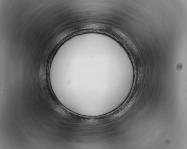 X0000102821017200809151010
