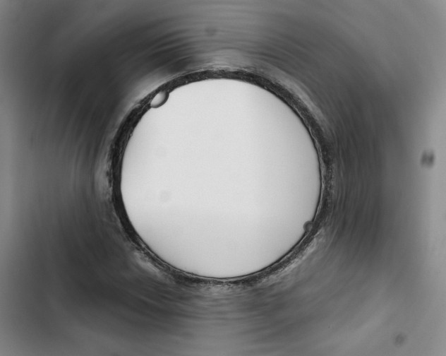 X0000102821018200809151010