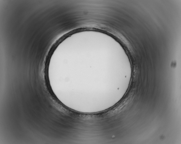 X0000102821020200809151010