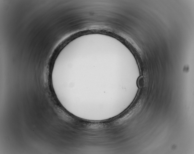 X0000102821021200809151010