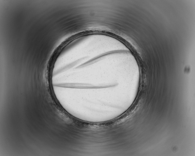 X0000102821022200809151010