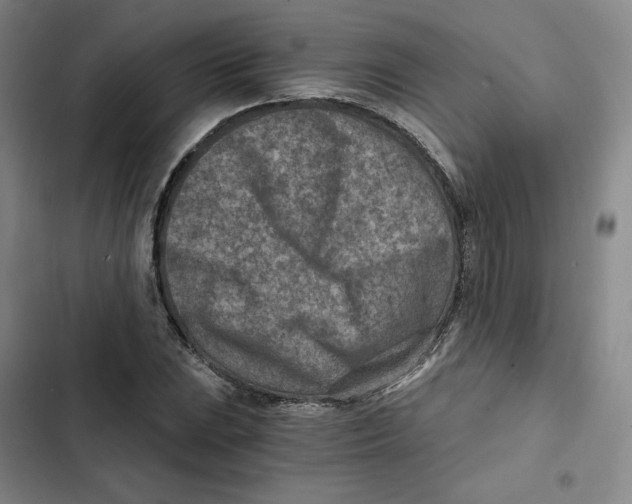 X0000102821023200809151010