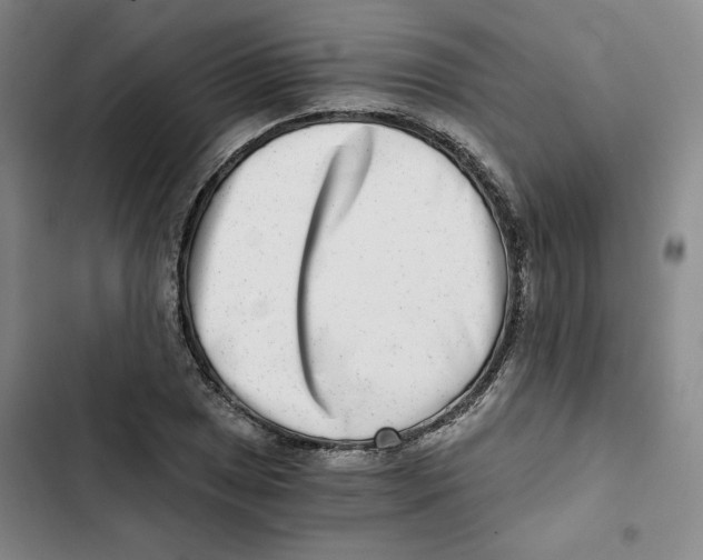 X0000102821025200809151010