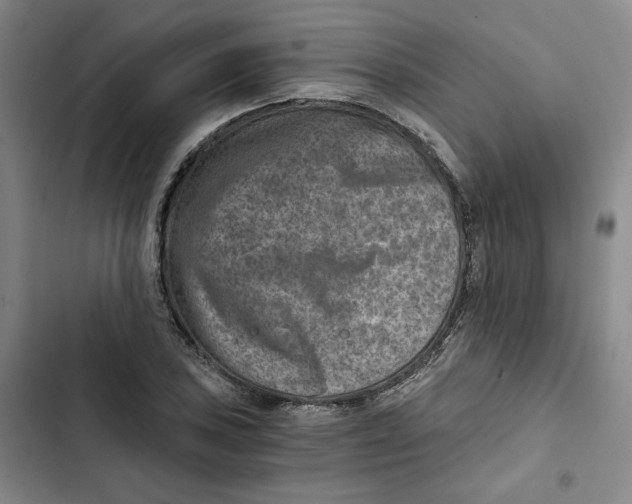 X0000102821027200809151011