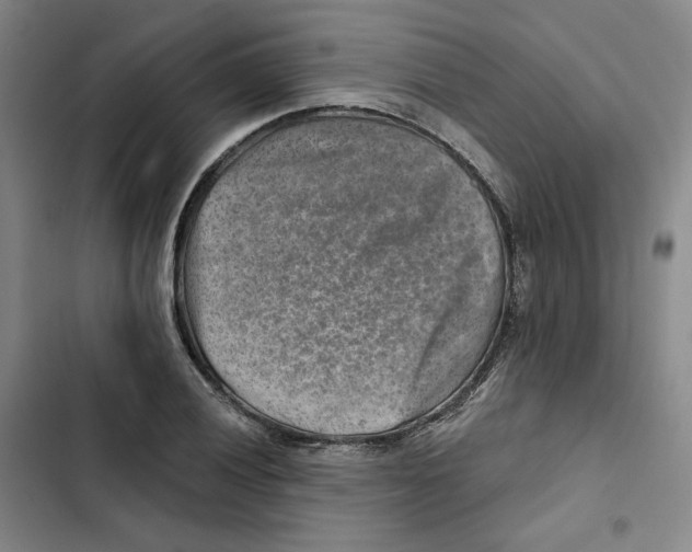 X0000102821028200809151011