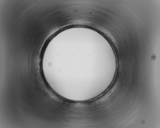X0000102821029200809151011
