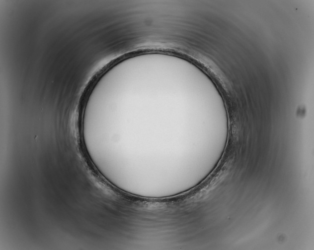 X0000102821030200809151011