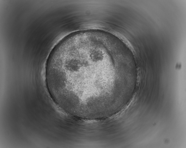 X0000102821031200809151011