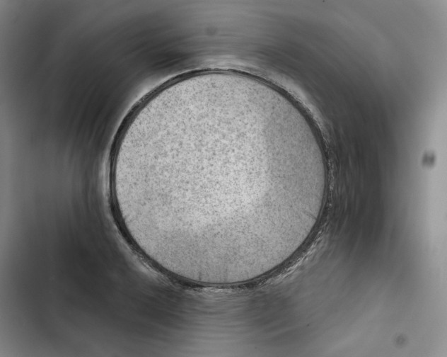X0000102821032200809151011