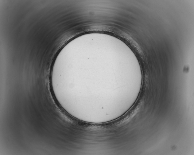 X0000102821033200809151011