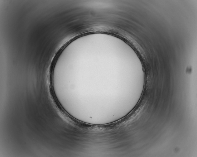 X0000102821034200809151011