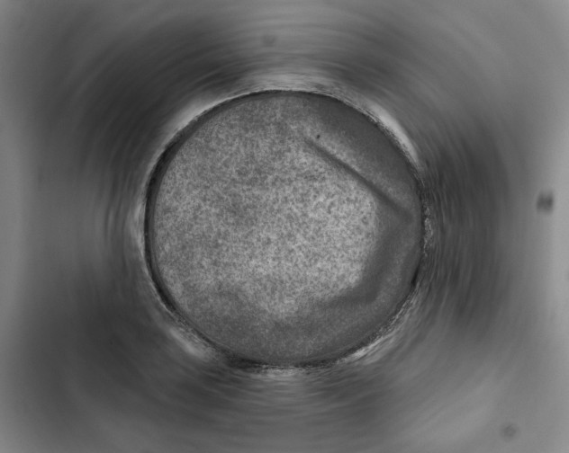 X0000102821035200809151011