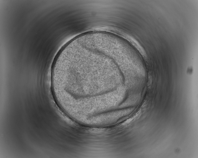X0000102821036200809151011