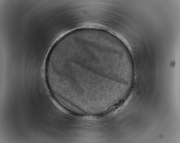 X0000102821037200809151011