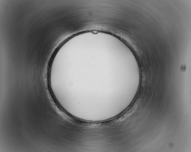 X0000102821038200809151011