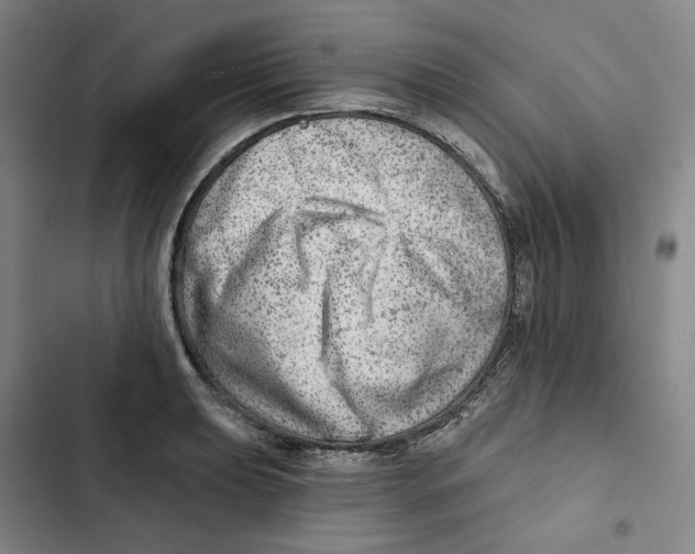 X0000102821039200809151011