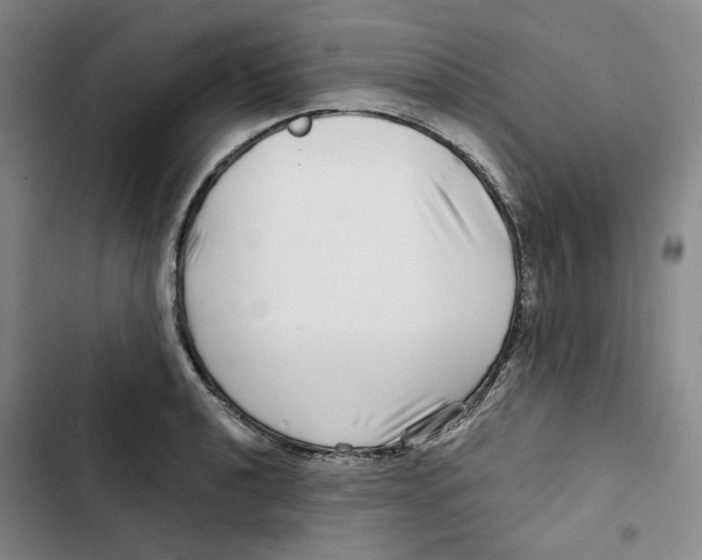 X0000102821040200809151011