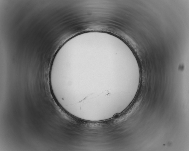 X0000102821041200809151011