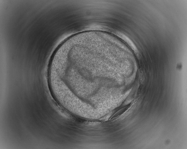 X0000102821043200809151011